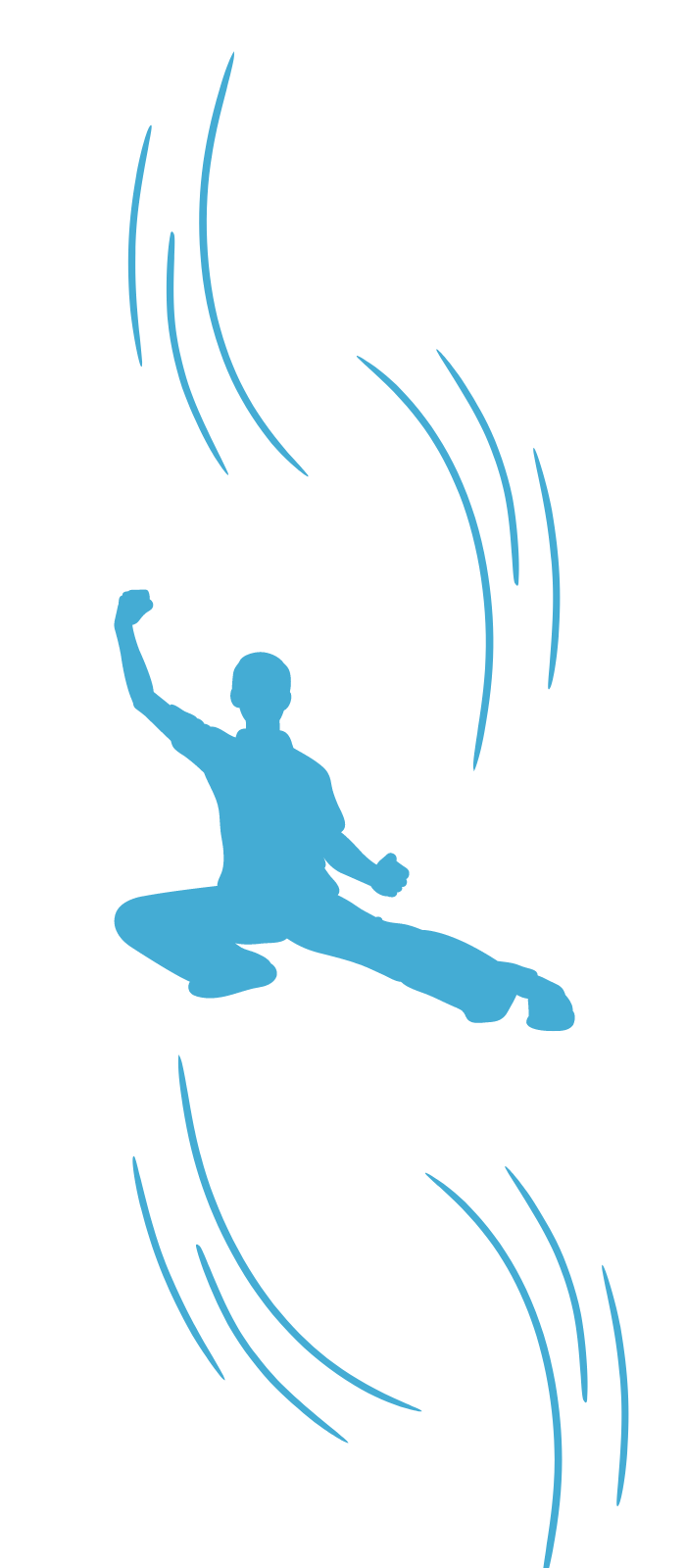 2 Tai Ji Formation en ligne